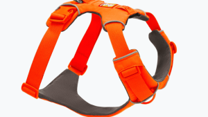 The Front Range® Harness is a padded everyday dog harness that is easy to put on and comfortable for dogs to wear