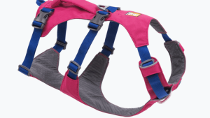 The Flagline Harness is a fast, light, and comfortable body harness with a nimble design that keeps dogs in their flow, from scrambling in the backcountry to conquering everyday obstacles