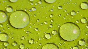 Waterproofing | Fabric Care