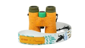 You’re probably not out there body-slamming crocodiles, but Forrest Galante is. That’s why he needs optics that can take a beating one minute and provide crystal clear views the next. These babies are waterproof with O-ring seals, nitrogen purged, and housed in Nocs ToughWave™ Armor. Full-size clarity and low-light performance in a binocular built to go wherever curiosity leads.