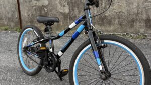 Guardian Ethos 20" Kids Bike - USED